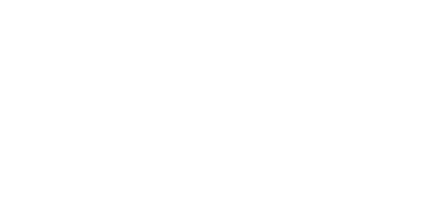 Stellarly logo